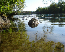 Solothurn Aare