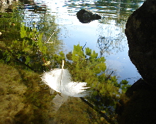 Aare Solothurn