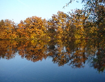 Aare Solothurn